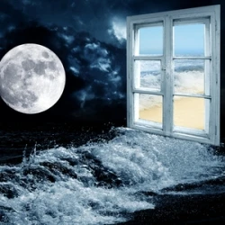 Ecco Come Utilizzare i tuoi Sogni …